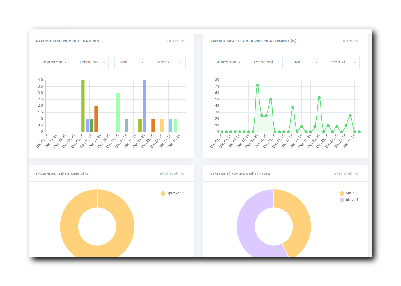 Raporte – Analizë e detajuar e performancës
